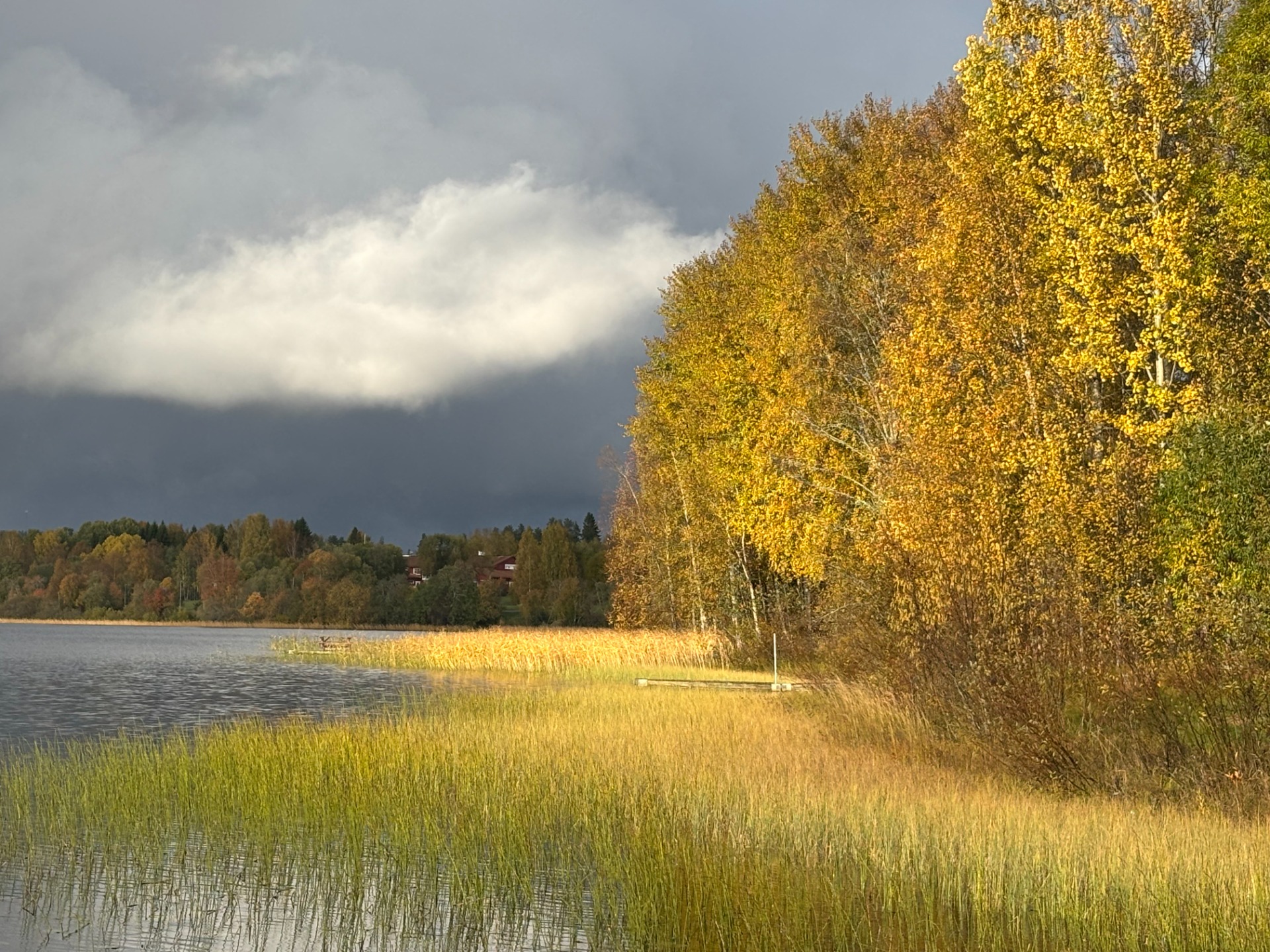 Sidsjön,2025