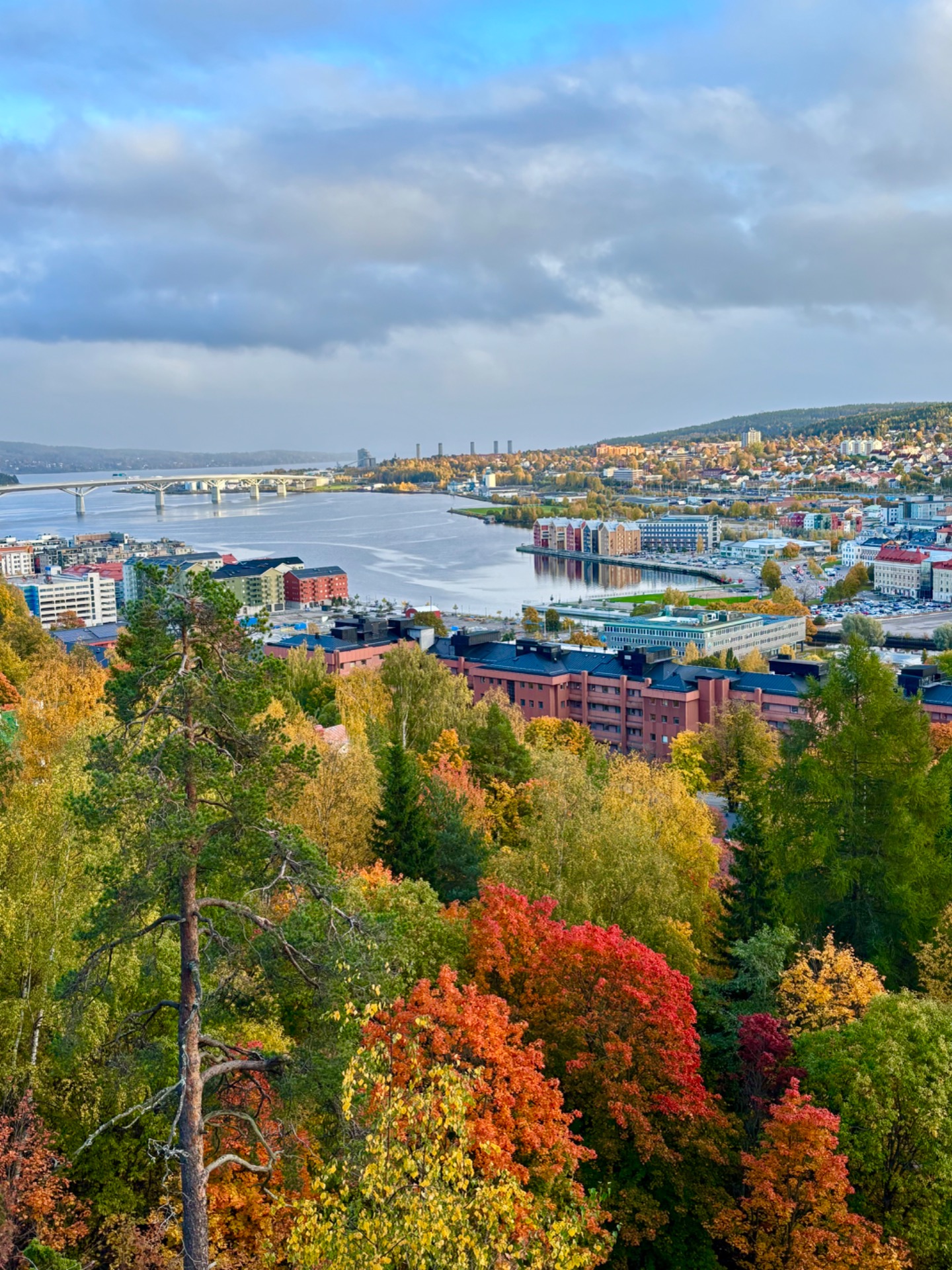 Vy från Norraberget, 2025